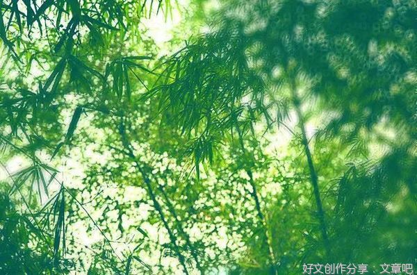 这个夏天，如你所愿！