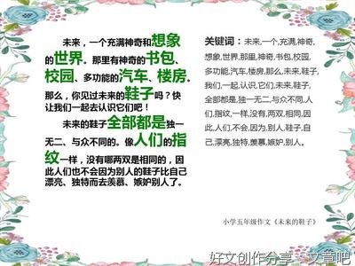 《未来的鞋子》的作文