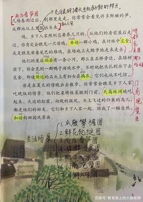 《乡下人家》的作文