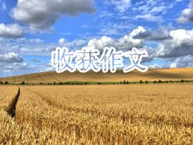我的收获作文10篇
