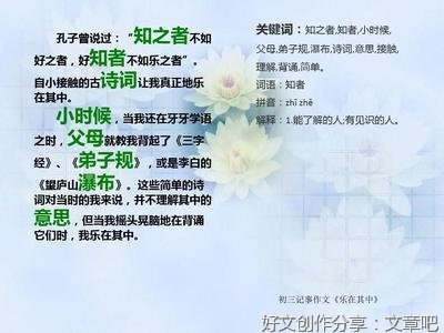 《乐在其中》的作文