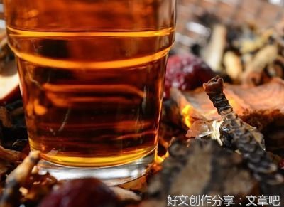我的中药朋友读后感摘抄