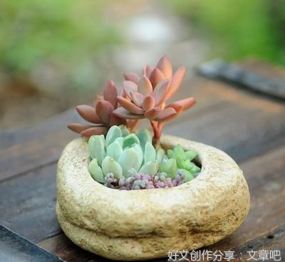 许你一世清欢的优美句子