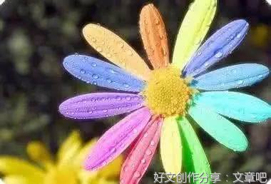 假如我有一朵七色花作文300字