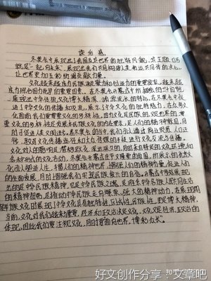 中国冬奥读后感1000字