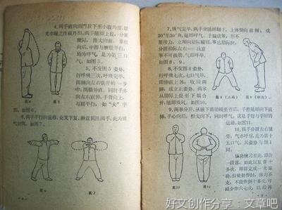 五禽图气功读后感1000字