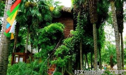 《雨林之国》读后感100字