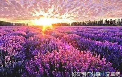 关于郭敬明的句子