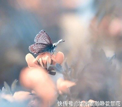 有关励志的句子