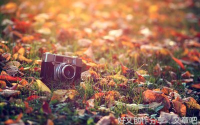 关于旅人的优美句子