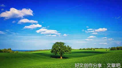 有关爱心的作文