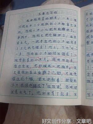 我的新朋友作文10篇