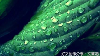 人生的足迹句子