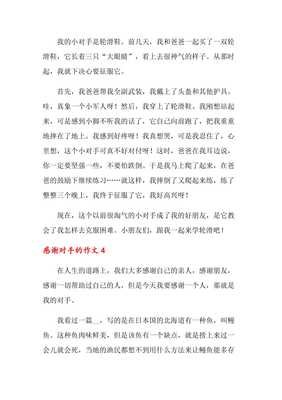 关于对手的作文