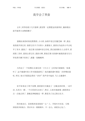 养蚕记经典作文