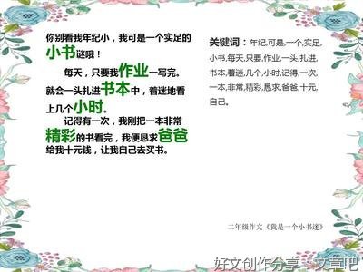 有关我是小书迷的作文