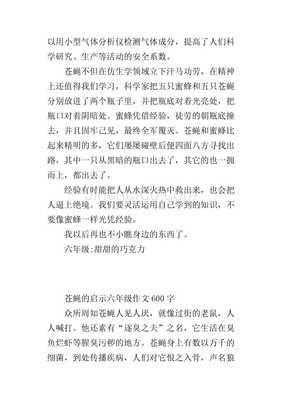 打苍蝇作文300字