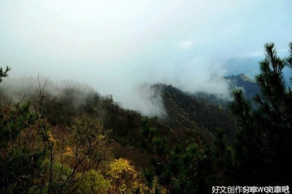 家乡的花园作文写景500字