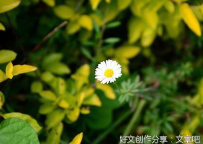 爱情好词好句