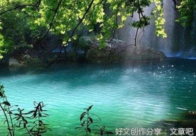 《绿》的作文