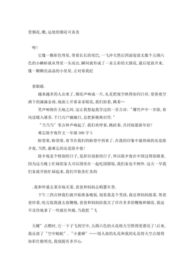 关于难忘的除夕夜的作文