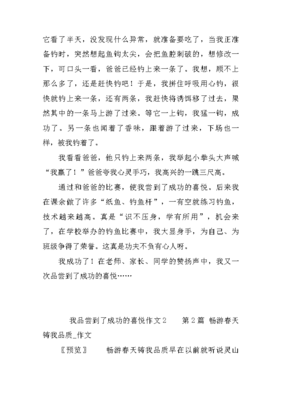 关于成功的喜悦的作文
