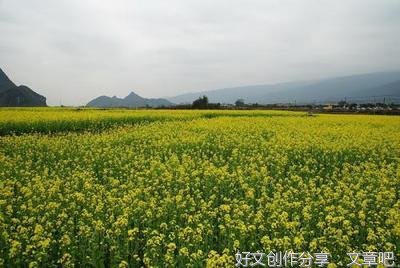 游戏人生的优美句子