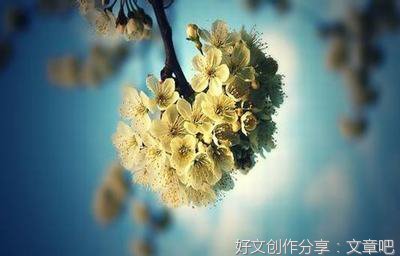 关于集大成者的优美句子
