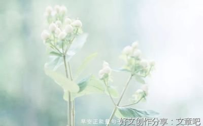 关于在对的时间遇上美好的优美句子