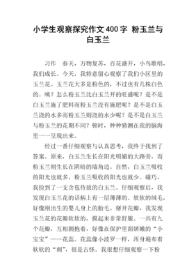 玉兰花作文(精选10篇)