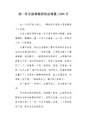 精彩的足球赛经典作文