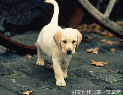 一件让我感动的事作文10篇