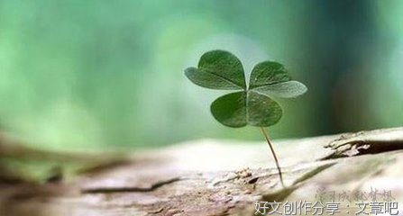 坚强作文大全