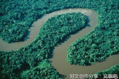 关于食品安全的故事作文500字