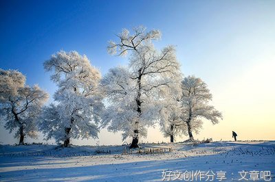 《刹那》的读后感大全