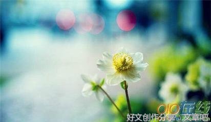 画江湖的优美句子