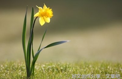 这样就很好作文800字