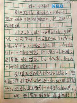 迷人的春天经典作文