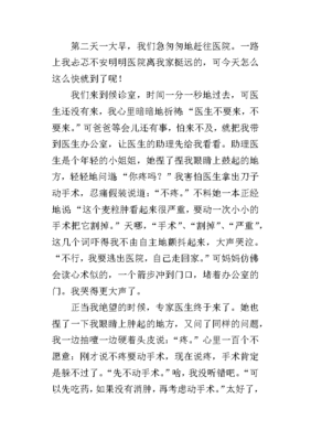 不速之客通用作文