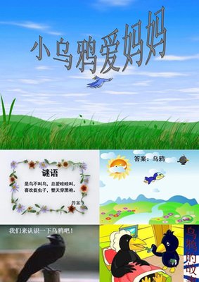 小乌鸦爱妈妈作文大全
