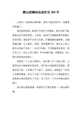 我的自述作文300字