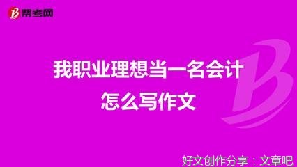 关于会计的理想作文800
