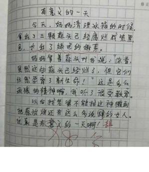 关于妈妈最辛苦的一篇作文