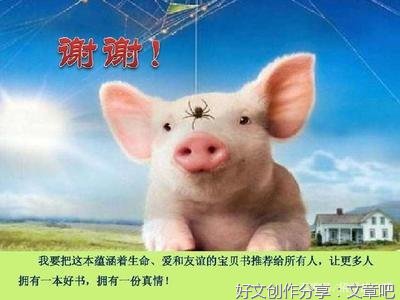 《夏洛特》读后感100字