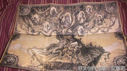 《凤凰》读后感锦集