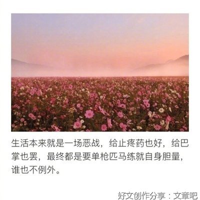 霸气经典的句子