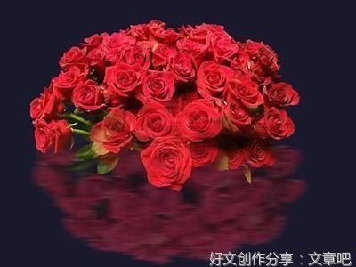 有关悟的句子