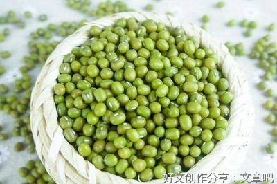 《观察绿豆》的作文
