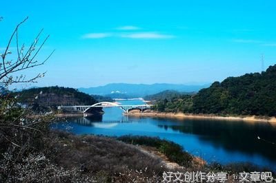 读书真好经典作文