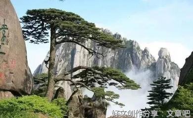 六年级作文600字